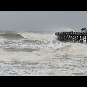 Meet your Posher, Summer